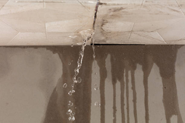 Professional Burst Pipe Cleanup technician working in Elwood, IN